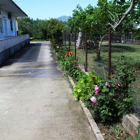 Nesti House *